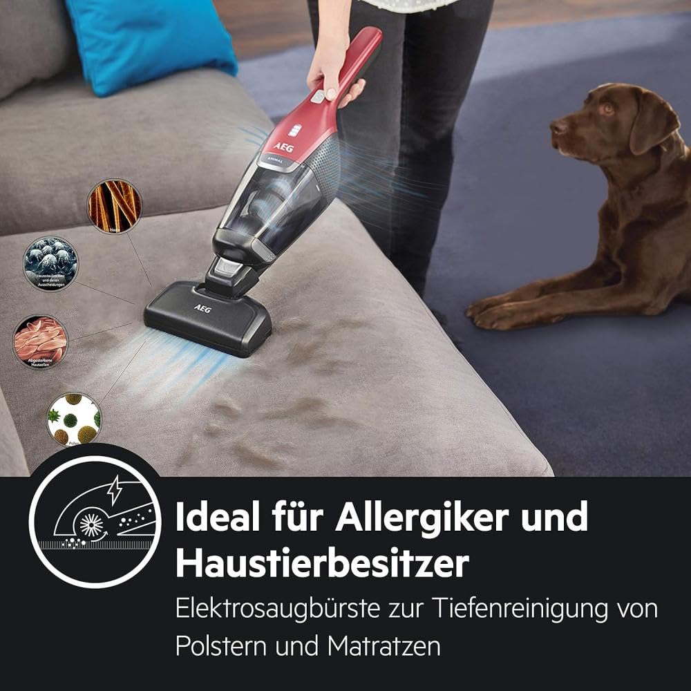 Ergorapido 2in1 Akku Staubsauger kabellos Testsieger CX7-2-45AN Stielstaubsauger Handstaubsauger