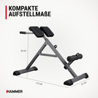 Tricon Rückentrainer Hyperextension Bank multifunktionale Trainingsgeräte Bauchtrainer für Heimtraining