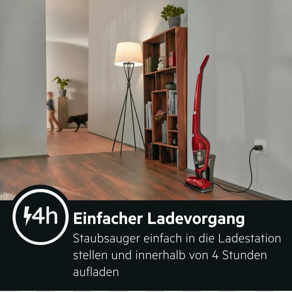 Ergorapido 2in1 Akku Staubsauger kabellos Testsieger CX7-2-45AN Stielstaubsauger Handstaubsauger