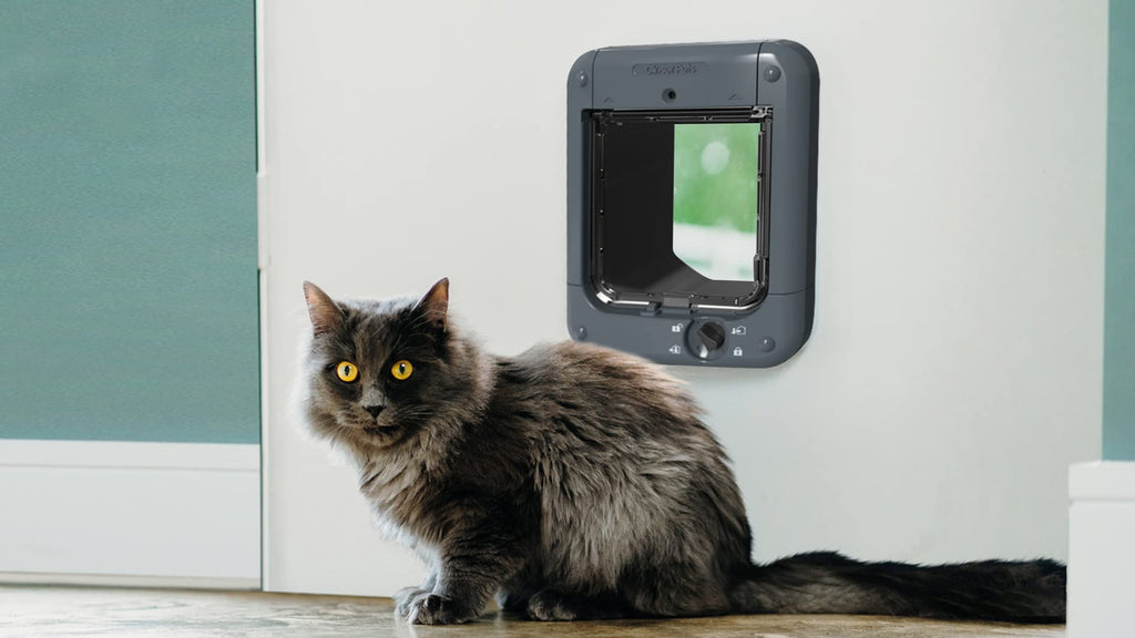 Mikrochipaktivierte Katzenklappe 360 in grau mit Mikrochipserkennung für mehr Sicherheit und Komfort