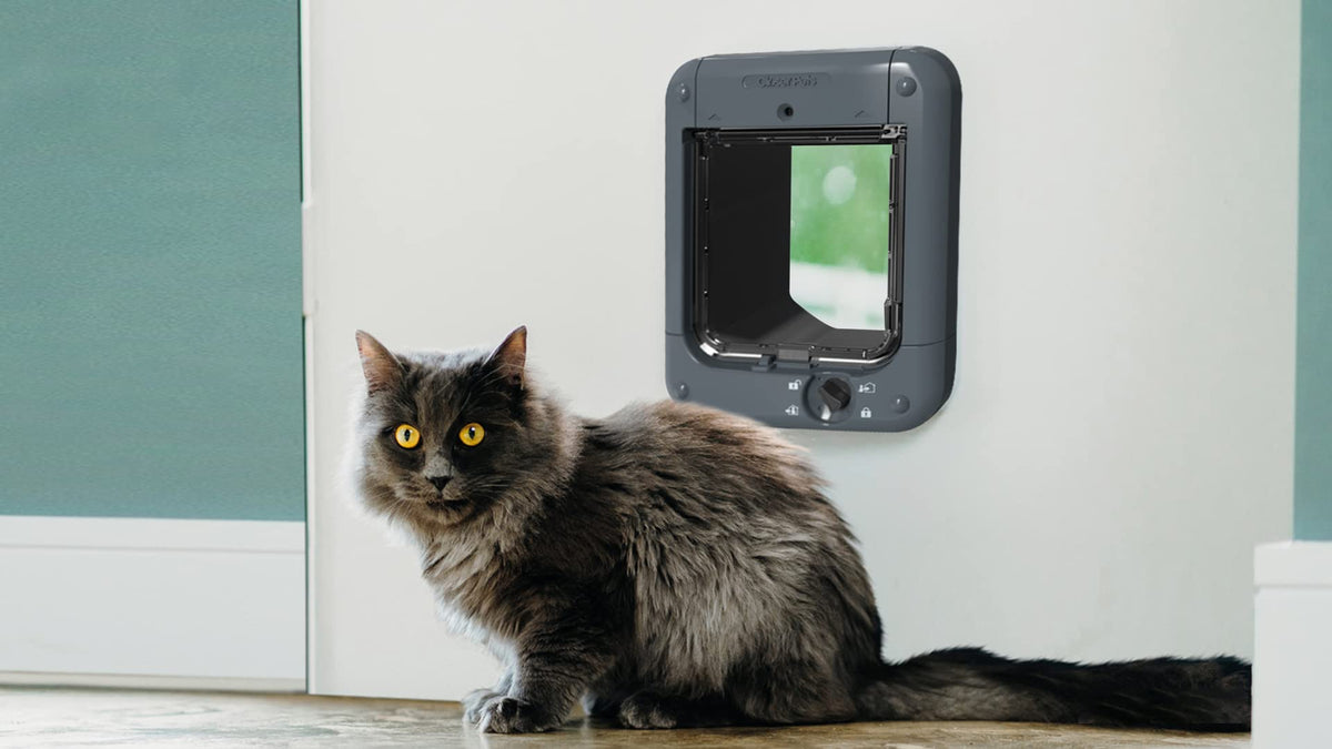 Mikrochipaktivierte Katzenklappe 360 in grau mit Mikrochipserkennung für mehr Sicherheit und Komfort
