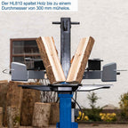 Elektrischer Holzspalter HL810 Brennholzspalter mit 8 Tonnen Spaltkraft und 3500W Motor für Brennholz