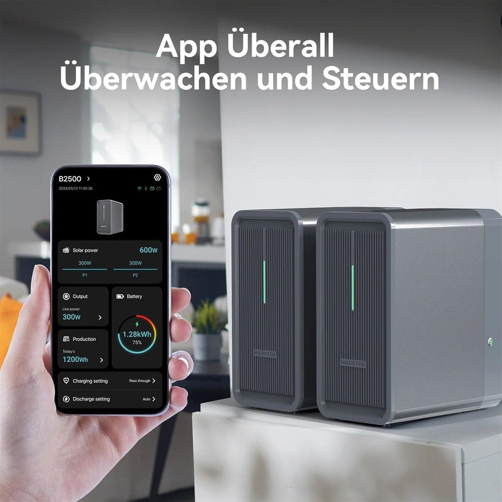 B2500 Speicher 2240Wh für Balkonkraftwerke LiFePO4 Akku 6000 Zyklen erweiterbar IP65 wasserdicht staubfest