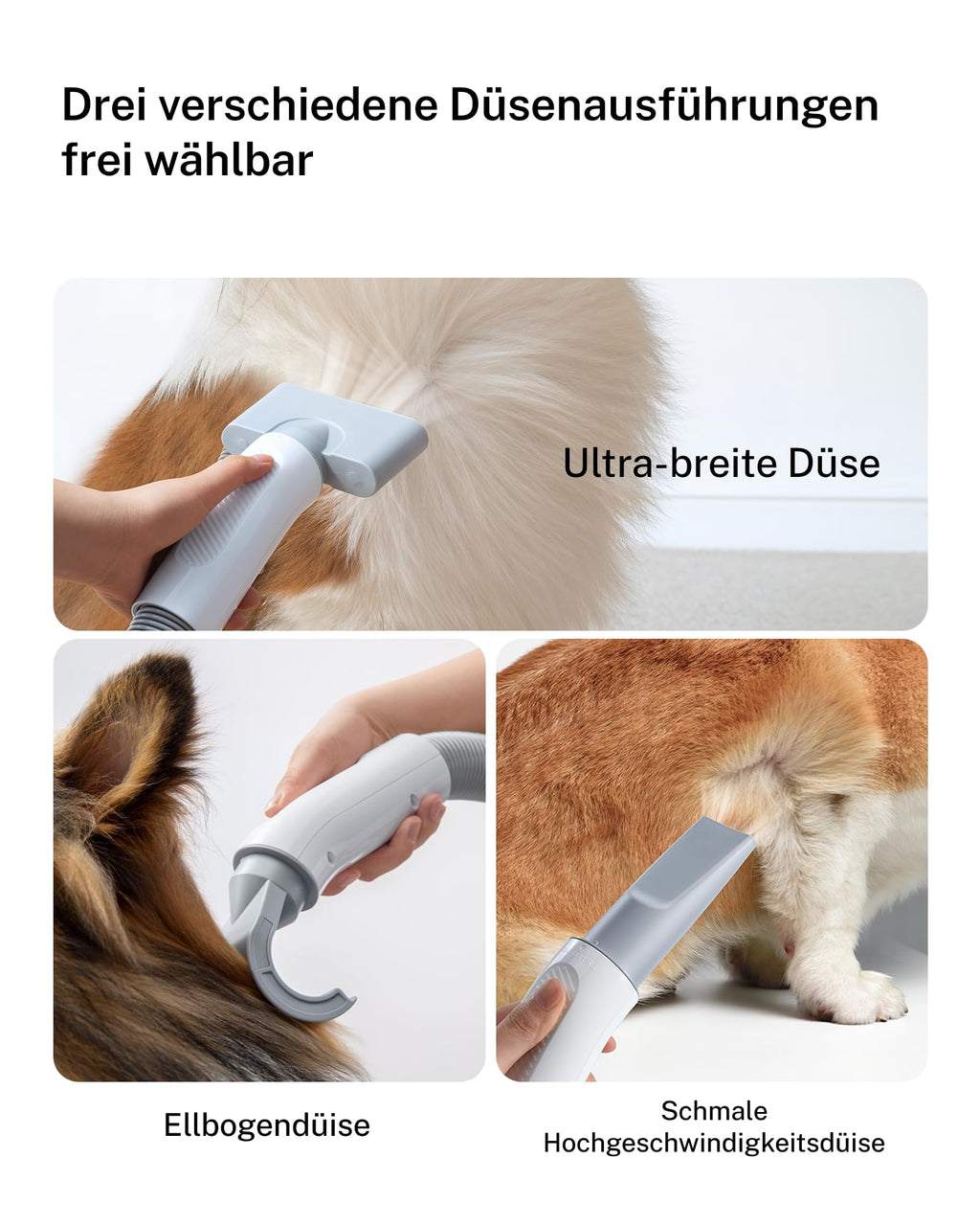 Hundefön Ultraleiser 43 dB 120 m/s Hundetrockner Schnelltrocknend leise leistungsstark für Hunde und Katzen
