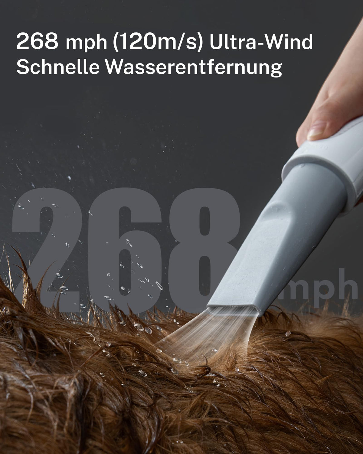 Hundefön Ultraleiser 43 dB 120 m/s Hundetrockner Schnelltrocknend leise leistungsstark für Hunde und Katzen