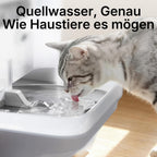 EverSweet Ultra Trinkbrunnen mit KI Kamera 5L Frisch und Abwassertrennung filterlos für Katzen und Kleinhunde