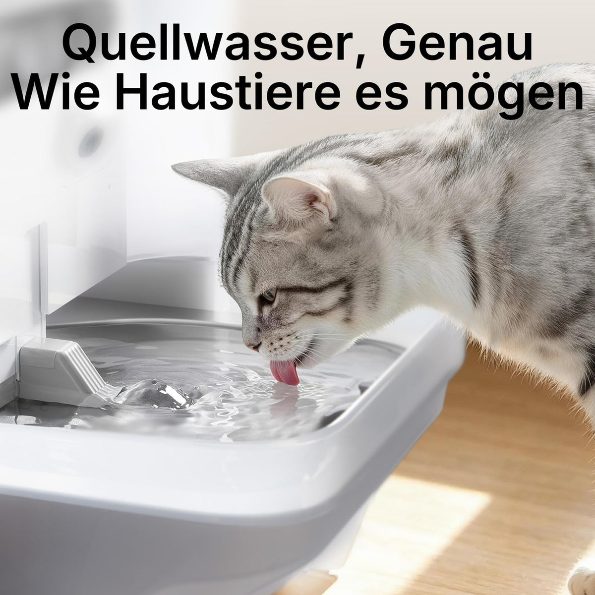 EverSweet Ultra Trinkbrunnen mit KI Kamera 5L Frisch und Abwassertrennung filterlos für Katzen und Kleinhunde