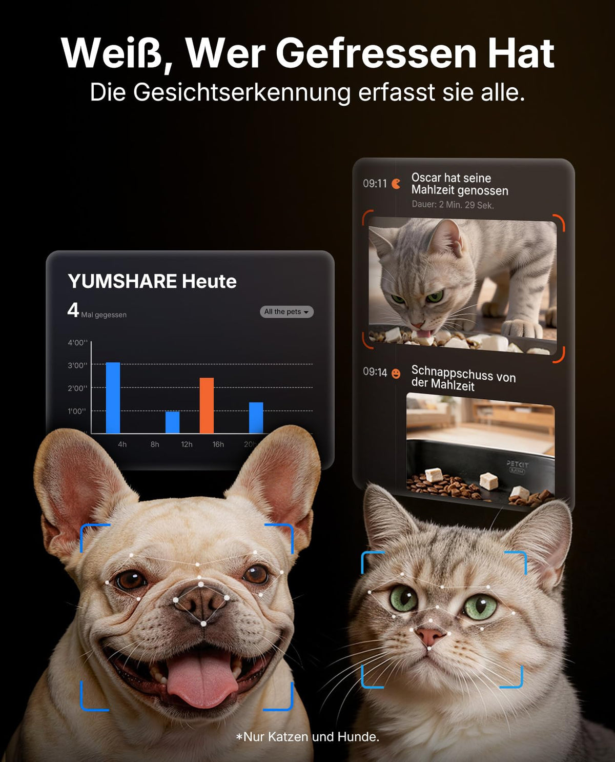 YumShare Dual Hopper 2 Futterautomat für Katze und Hund 2 Näpfe Kamera Gesichtserkennung 5L KI 2,4 und 5G WLAN
