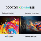 60 Zoll Fernseher QD Mini LED 4K Smart TV Google TV HDR10 Plus Dolby Vision Atmos Local Dimming MEMC 60CGNH70Z