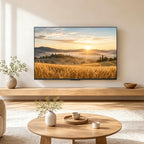 60 Zoll Fernseher QD Mini LED 4K Smart TV Google TV HDR10 Plus Dolby Vision Atmos Local Dimming MEMC 60CGNH70Z