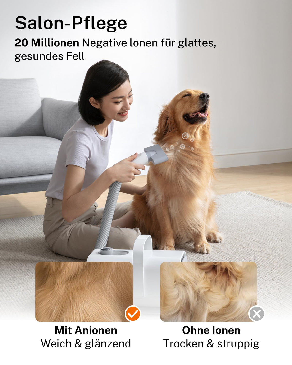 Hundefön Ultraleiser 43 dB 120 m/s Hundetrockner Schnelltrocknend leise leistungsstark für Hunde und Katzen