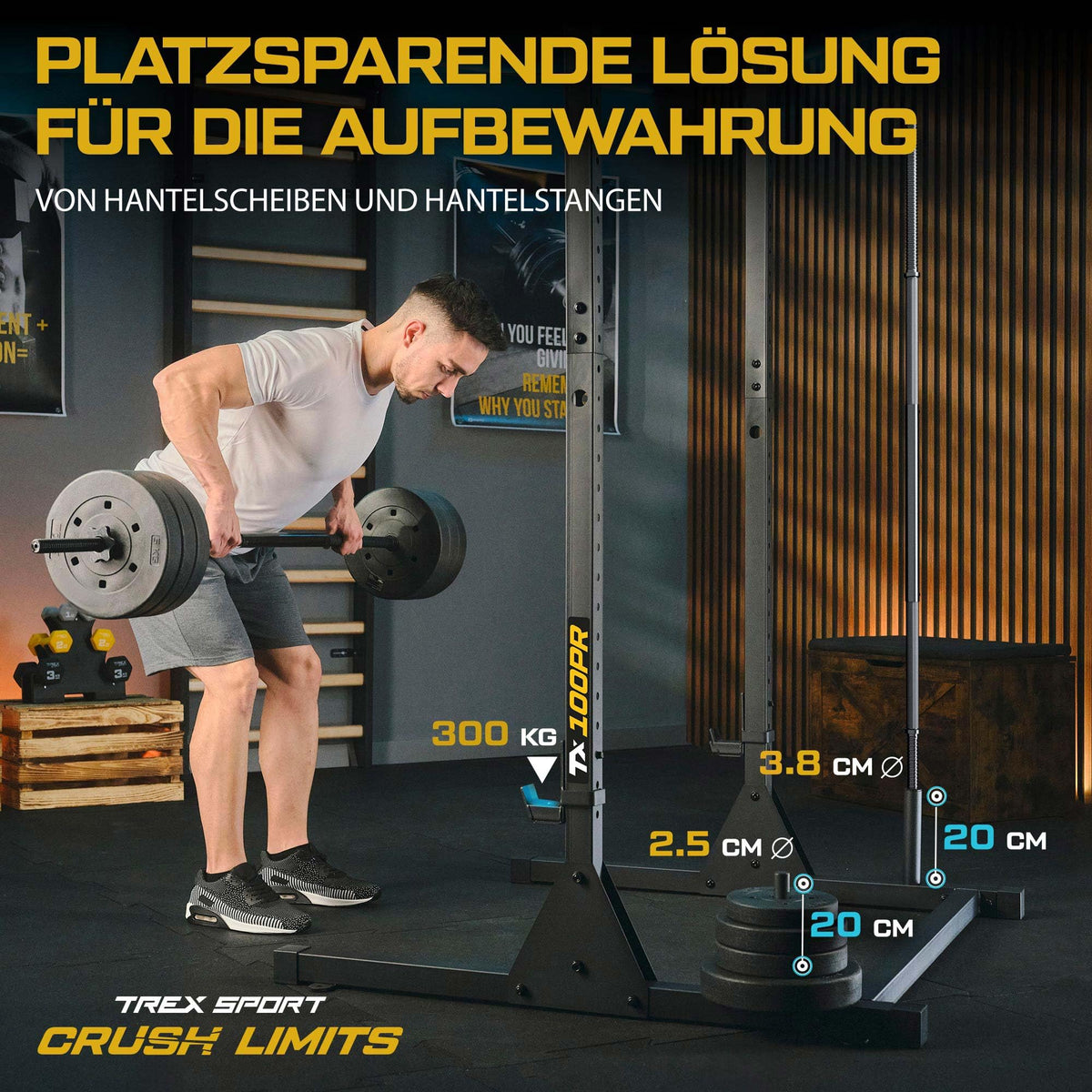 Power Tower Dip Station freistehend Kraftturm bis 300kg belastbar für Heimtraining TX-100PR