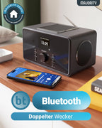 Bard Internetradio mit WLAN DAB+ UKW 2.1 100W Spotify Connect Digitalradio Stereo Musikstreaming