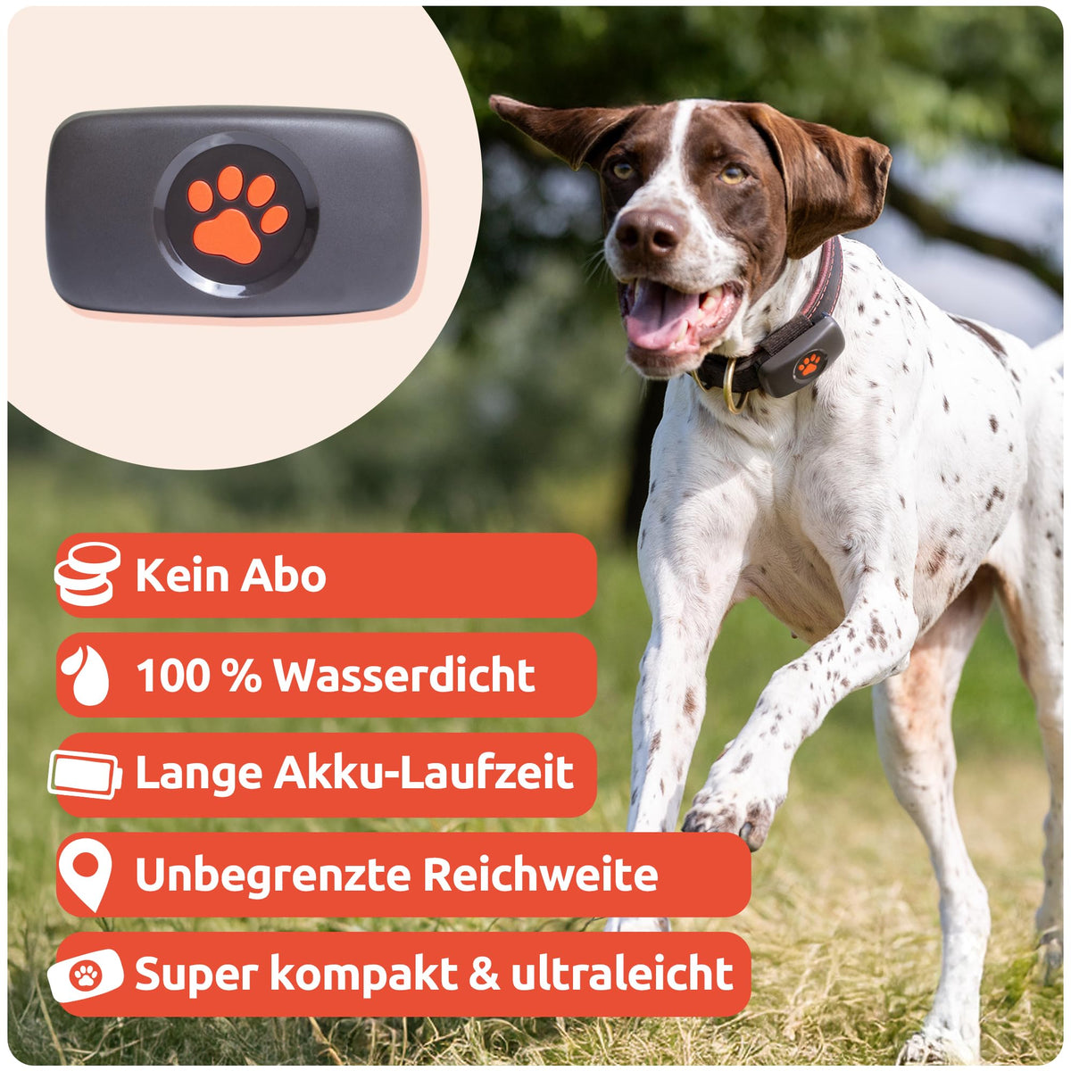 GPS Tracker für Hunde ohne Abo Hundetracker mit unbegrenzter Reichweite für die Hundeortung