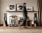 HiFi Rack aus Holz und Stahl mit verstellbaren Ablagen 61 x 52 x 78 cm für Fernseher und Audiogeräte