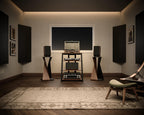 HiFi Rack aus Holz und Stahl mit verstellbaren Ablagen 61 x 52 x 78 cm für Fernseher und Audiogeräte
