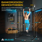 Power Tower Dip Station freistehend Kraftturm bis 300kg belastbar für Heimtraining TX-100PR