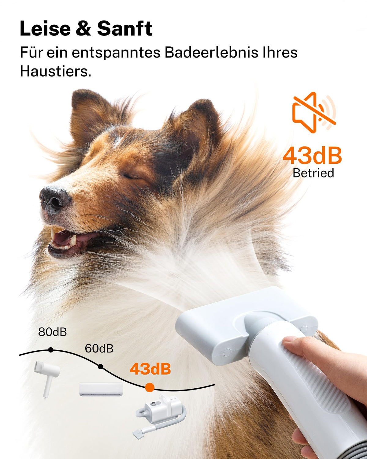 Hundefön Ultraleiser 43 dB 120 m/s Hundetrockner Schnelltrocknend leise leistungsstark für Hunde und Katzen
