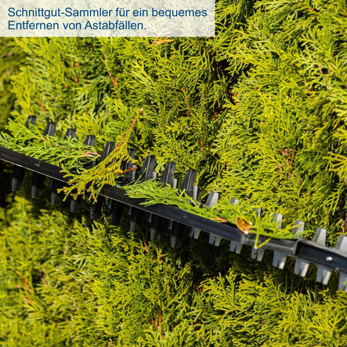 Akku Heckenschere BC-HT720-X Heckentrimmer mit Schnittlänge 650 mm für Garten und Heckenschnitt
