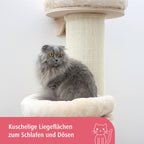 Kratzbaum Dolomit Tower für Katzen 38cm Durchmesser 187cm Höhe beige Plüsch Katzenbaum für große Katzen