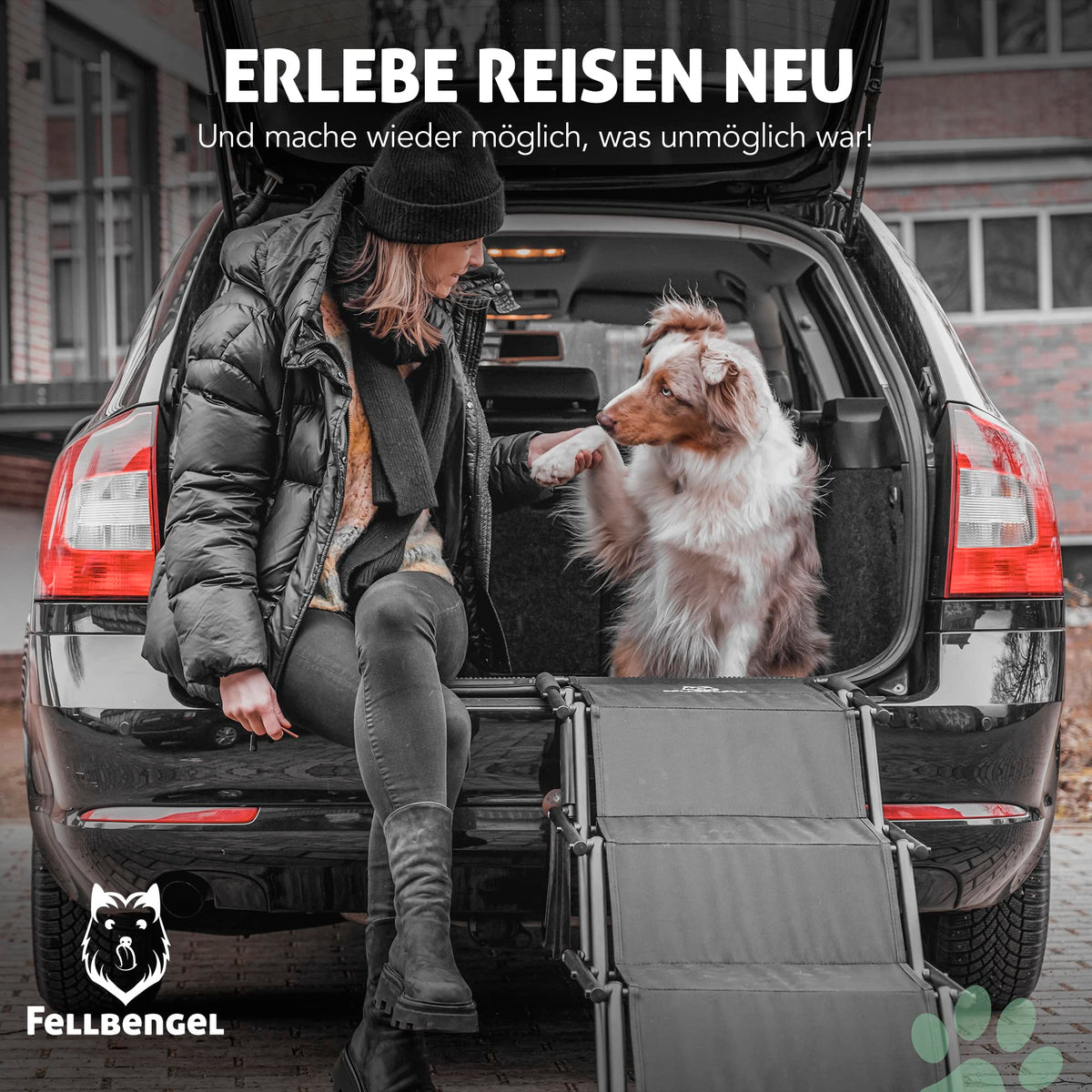 Hundetreppe Auto klappbar mit Sicherheitsstufe Hunderampe Einstiegshilfe große Hunde faltbar bis 60 kg