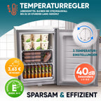 Mini Gefrierschrank 42L minus 18°C Eiswürfelschale Türanschlag wechselbar 4 Sterne Camping Energieklasse E