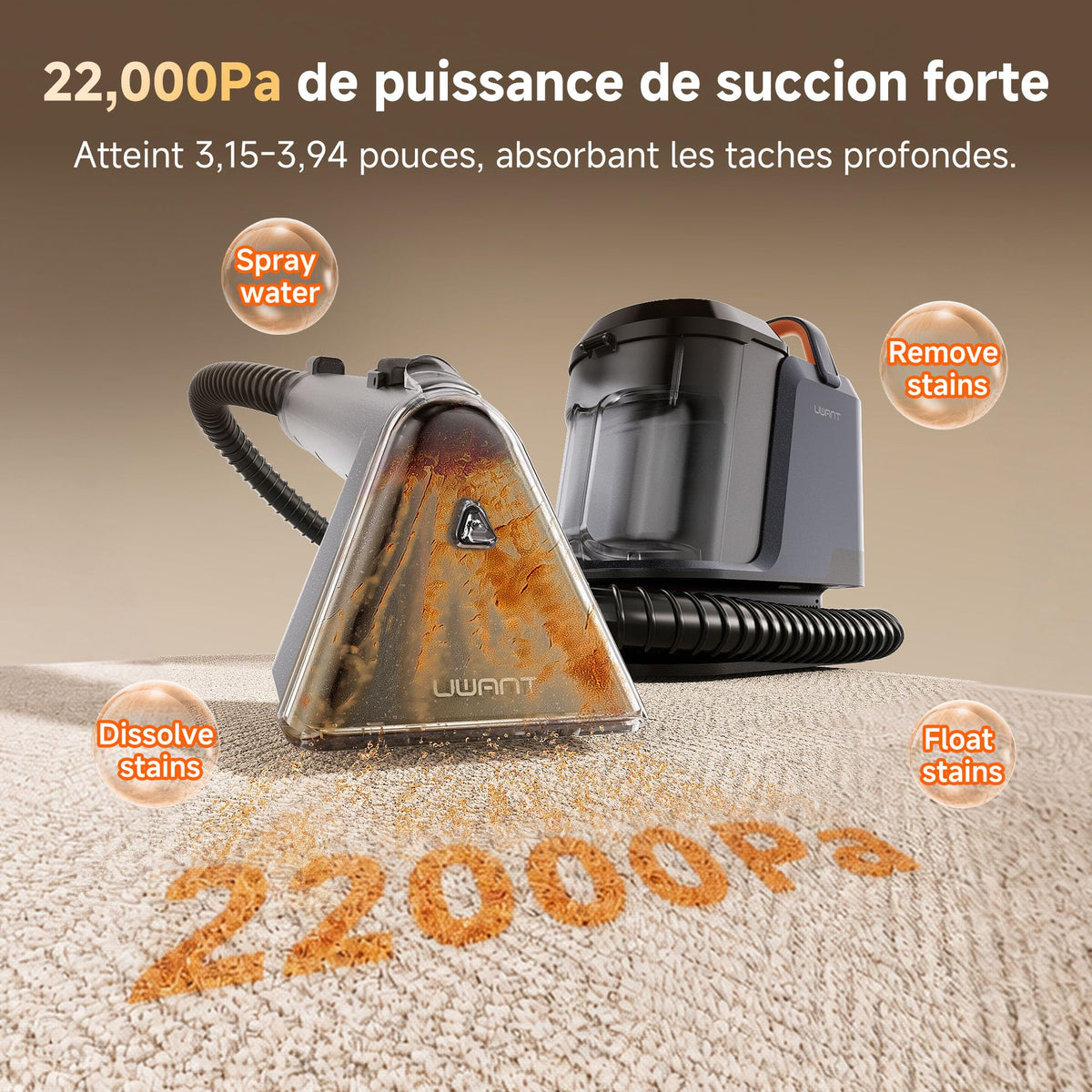 Y100Pet Polsterreiniger 22 kPa Teppichreiniger Waschsauger geräuscharm Schlauch Flecken Sofa Teppich