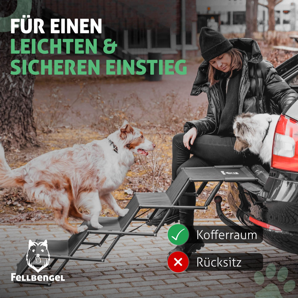 Hundetreppe Auto klappbar mit Sicherheitsstufe Hunderampe Einstiegshilfe große Hunde faltbar bis 60 kg