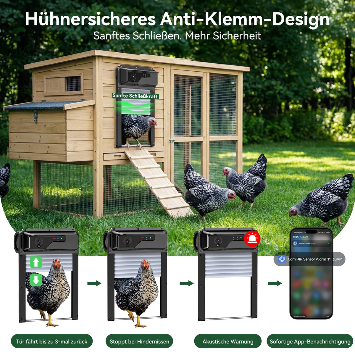 1080P Kamera Automatische Hühnerklappe mit Solar und WiFi App Steuerung für Hühnerstall und Stalltür