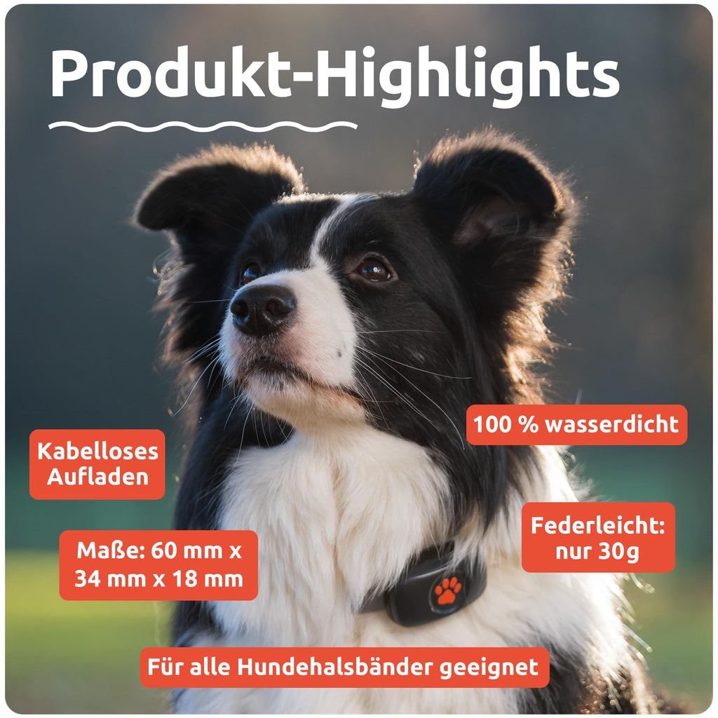 GPS Tracker für Hunde ohne Abo Hundetracker mit unbegrenzter Reichweite für die Hundeortung