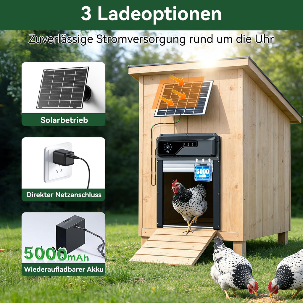 1080P Kamera Automatische Hühnerklappe mit Solar und WiFi App Steuerung für Hühnerstall und Stalltür