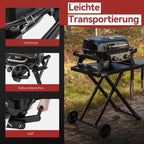 2 Brenner Gasgrill 5 kW Tischgrill mit klappbaren Seitentischen tragbarer BBQ Grill für Balkon Garten Schwarz