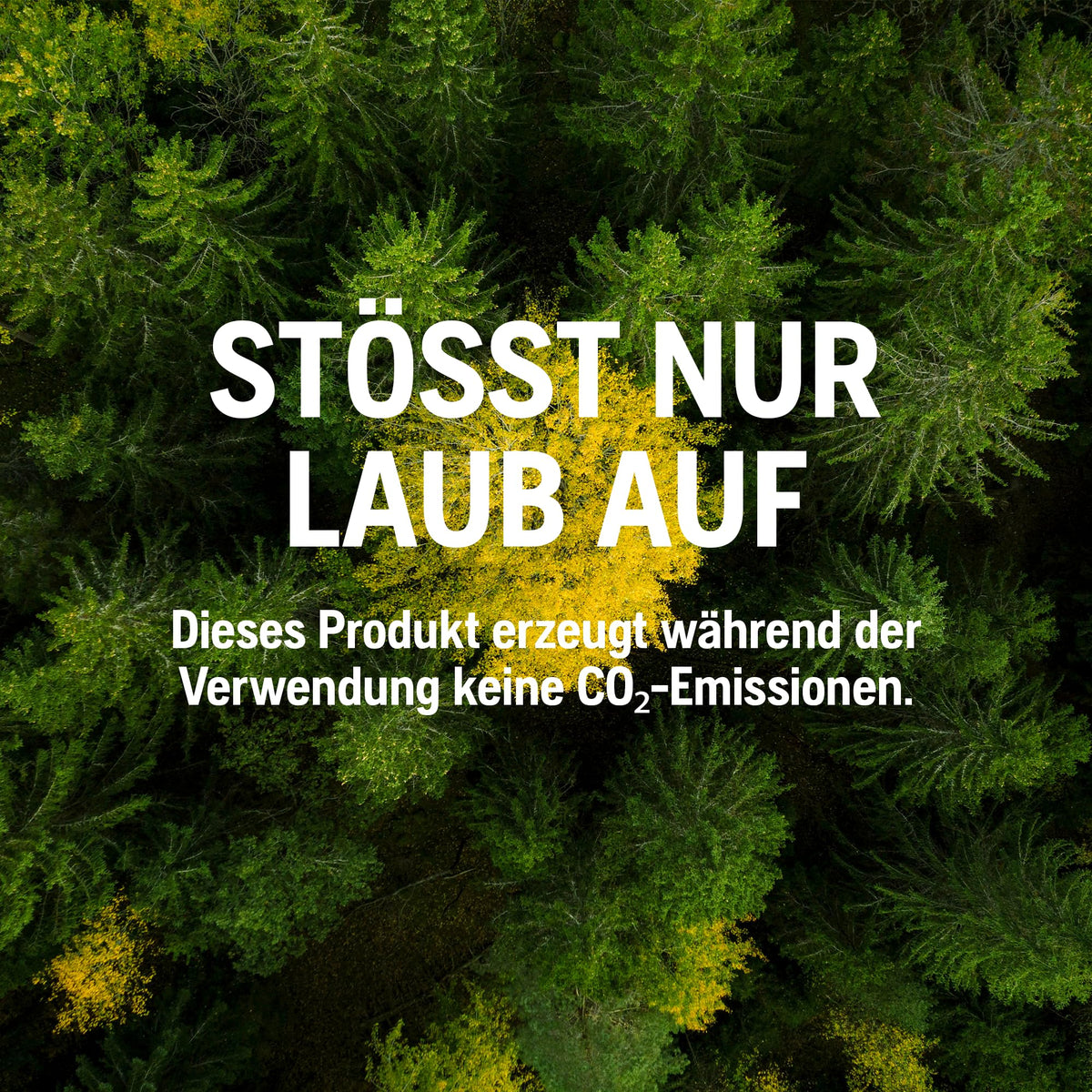 120iBV Akku Laubbläser und Laubsauger 2 in 1 mit Akku und Ladegerät kabellos für Garten und Hof