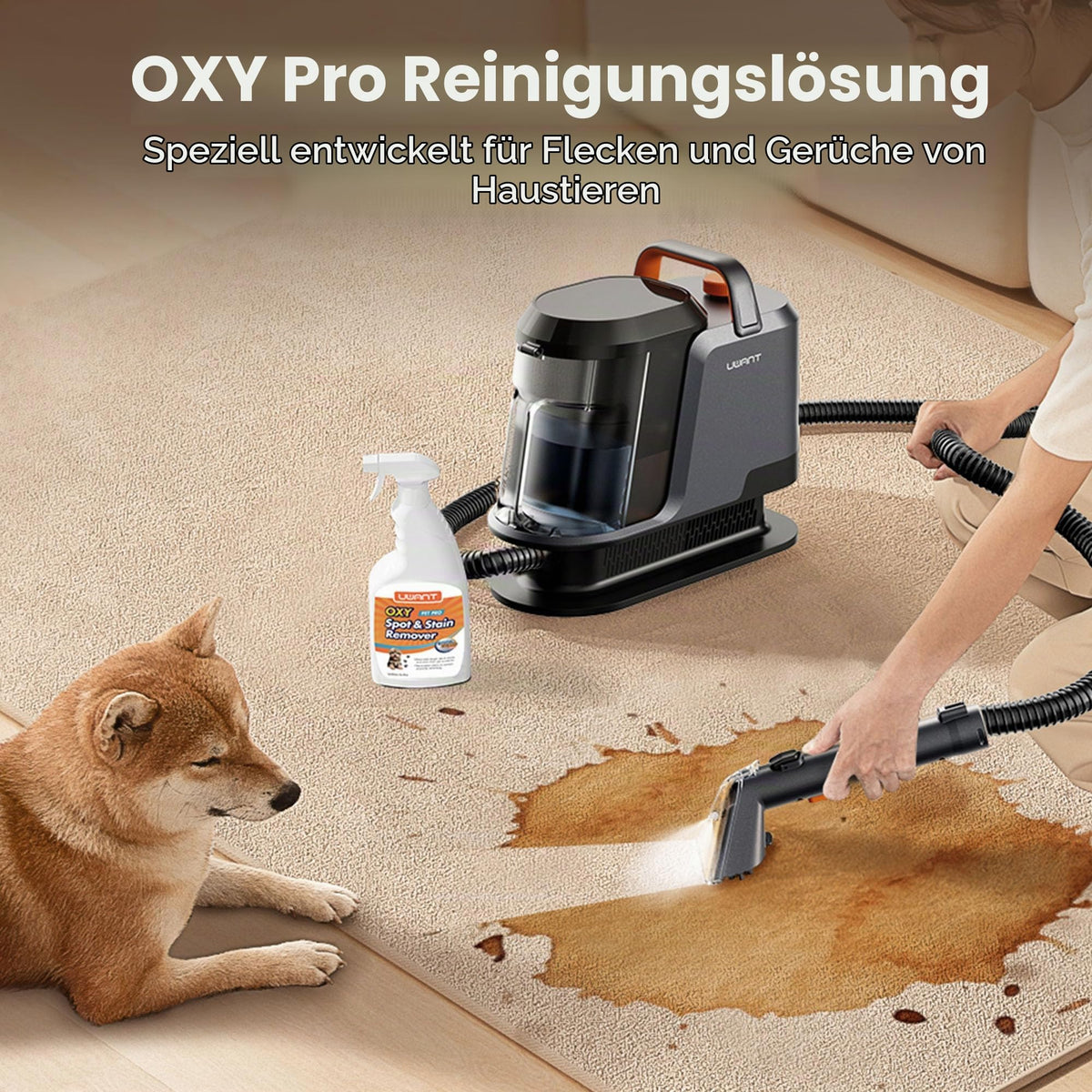 Y100Pet Polsterreiniger 22 kPa Teppichreiniger Waschsauger geräuscharm Schlauch Flecken Sofa Teppich