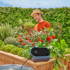 AquaBloom L Set autarkes Bewässerungssystem Balkon Terrasse Hochbeet ohne Wasser Strom 30 Pflanzen 13330 20