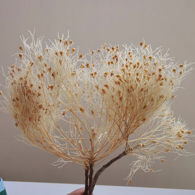Getrockneter Oranger Flauschiger Wolkenfarn DIY Blumenstrauß 46cm Boho Wohnkultur