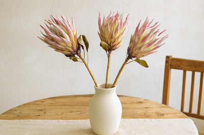 Getrocknete Protea Blüte Pink – Exotische Trockenblume für Deko, Sträuße, Gestecke, 30-35 cm