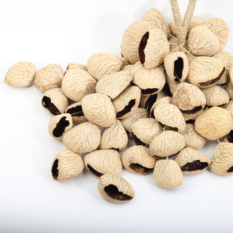 60er-Pack Obstschalen-Windspiel, 15,75 Zoll, natürlich, für Terrasse, Balkon, Restaurant