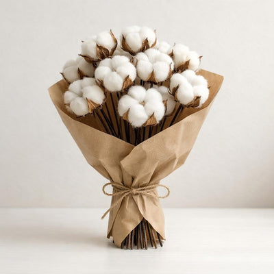 Getrocknete Baumwollblumen – Naturweißer Baumwollstrauß, 5/10 Stiele, 30–40 cm, minimalistisch