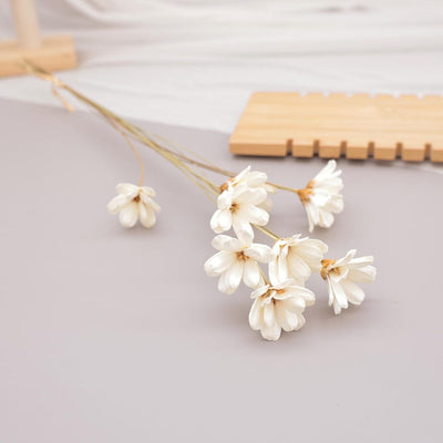 Weißer Trockenblumenstrauß mit 10 Stielen, Cremefarben, 40 cm